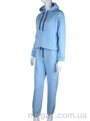 Спортивный костюм, Мир оптом 2695-5 blue