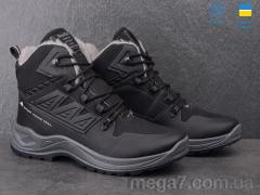 Ботинки, Paolla оптом 365-6113 old