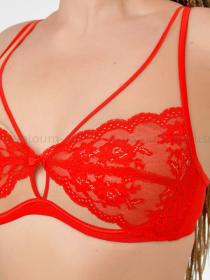 Комплект Acousma A6508BC/P6508H (  красно-бежевый, B  6 шт. )