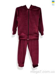 Спортивный костюм, Kir15 оптом 18328 бордовий