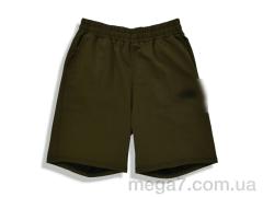 Шорты, Денис спорт оптом 703TNF green