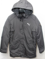 Куртки зимние мужские DABERT (серый) оптом 73059281 D-39-20