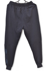 Спортивні штани чоловічі (сірий) оптом  