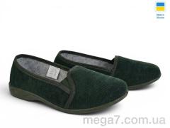 Тапки, Rai shoes оптом 14-106 зелений