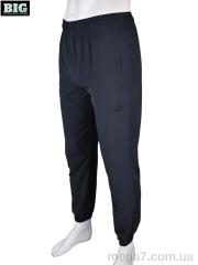 Спортивные брюки, BIG оптом 4033-A05-3 grey