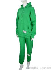 Спортивный костюм, Мир оптом 3389-7550-3 green