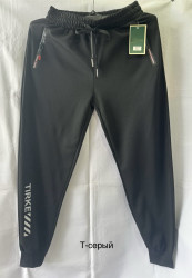Спортивные штаны мужские (серый) оптом 50824617 2417-19