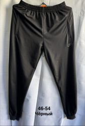 Спортивные штаны мужские оптом 06793852 4654-42