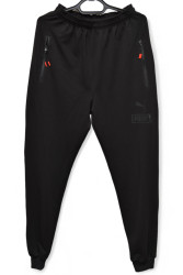Спортивные штаны мужские (черный) оптом 95786143 01-22