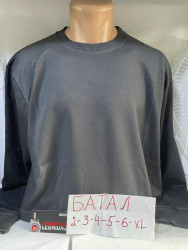 Світшоти чоловічі БАТАЛ оптом 