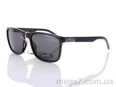 Очки, Egebar оптом TH5013 C1