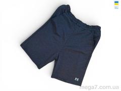 Шорты, Sport style оптом 02UARM т.сірий