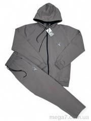 Спортивный костюм, Verton оптом 102 grey