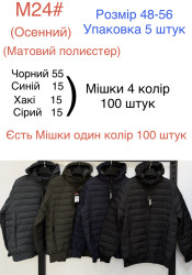 Куртки демисезонные (чёрные) мужские оптом 97805431 24