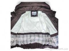 Куртка, Kids-modnik оптом F22 шоколадний