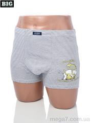Трусы, BIG оптом 3939-9009-1 mix