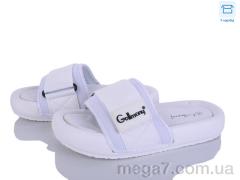 Шлепки, Захар-Gold оптом BH9031-2