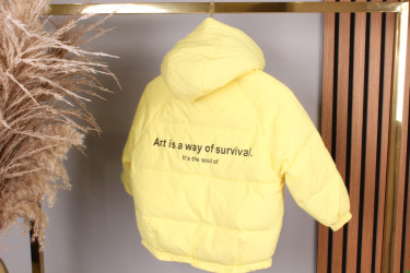 Куртки демисезонные подростковые оптом 36570182 708-64