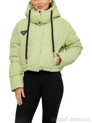 Куртка, Obuvok оптом 17339 (12053) l.green