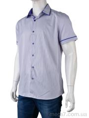 Рубашка, Obuvok оптом PO147 (12178) violet