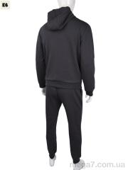 Спортивный костюм, BIG оптом --- 3838-01-2 grey