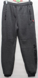 Спортивные штаны мужские на флисе (gray) оптом 85763924 007-26