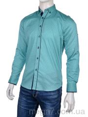 Рубашка, Enrico оптом Enrico  2377 l.green