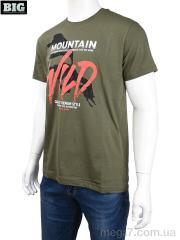 Футболка, BIG оптом 3707-0085-2 green