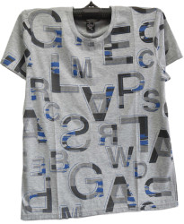 Футболки мужские оптом 89621047 209-248