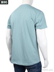 Футболка, BIG оптом 3707-119-2 green