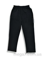 Спортивные брюки, Денис спорт оптом 009-1 black