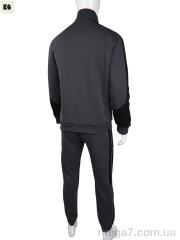 Спортивный костюм, BIG оптом --- 3838-13-2 grey