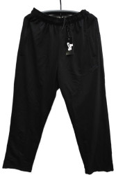 Спортивні штани чоловічі БАТАЛ оптом