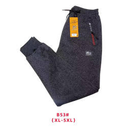 Спортивные штаны мужские на флисе (gray) оптом 01835642 B53-24