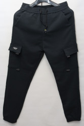 Спортивные штаны мужские на флисе (dark blue) оптом 39254081 01-2