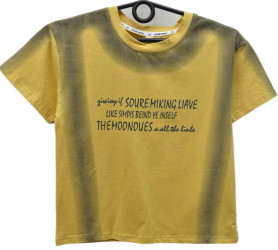 Футболки детские оптом 18649235 0128-331