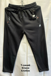 Спортивні штани чоловічі на флісі оптом        