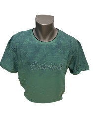 Футболки мужские БАТАЛ оптом 64725801 1001-192