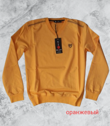 Свитшоты мужские оптом 07856413 0101-53