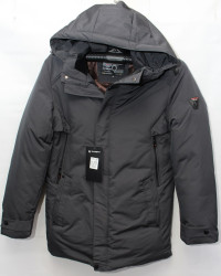 Куртки зимние мужские DABERT (серый) оптом 90416387 D39-22