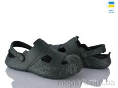 Кроксы, Golden Lion оптом 528 зелений