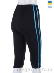 Бриджи, STARK оптом Бриджі смужка блакитний (2XL)