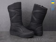 Сапоги, Lvovbaza оптом Paolla 220 чорний-old