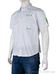 Рубашка, Obuvok оптом DOR-1A (12178) white