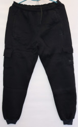 Спортивные штаны мужские на флисе (black) оптом 35214968 03-9