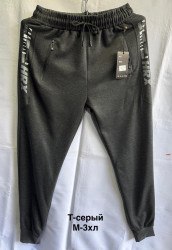 Спортивные штаны мужские оптом 01845239 2818-131