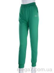 Спортивные брюки, Opt7kl оптом AB001-1 green