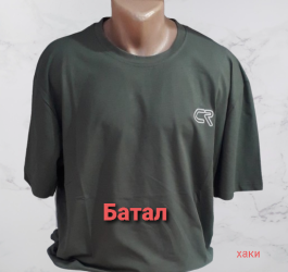 Футболки мужские БАТАЛ оптом 18520639 002-44