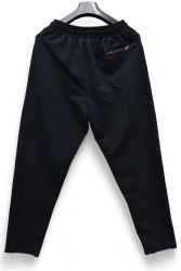 Спортивні штани чоловічі БАТАЛ (темно-синій) оптом  