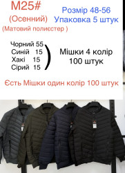 Куртки демисезонные (графит) мужские оптом 12506839 25-138